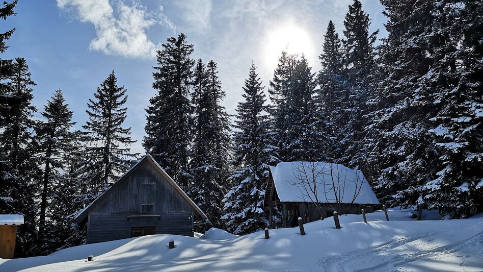 Ski Touring Skitour auf die Wildalpe - Touren-Impression #2.2 | © TV Hochsteiermark