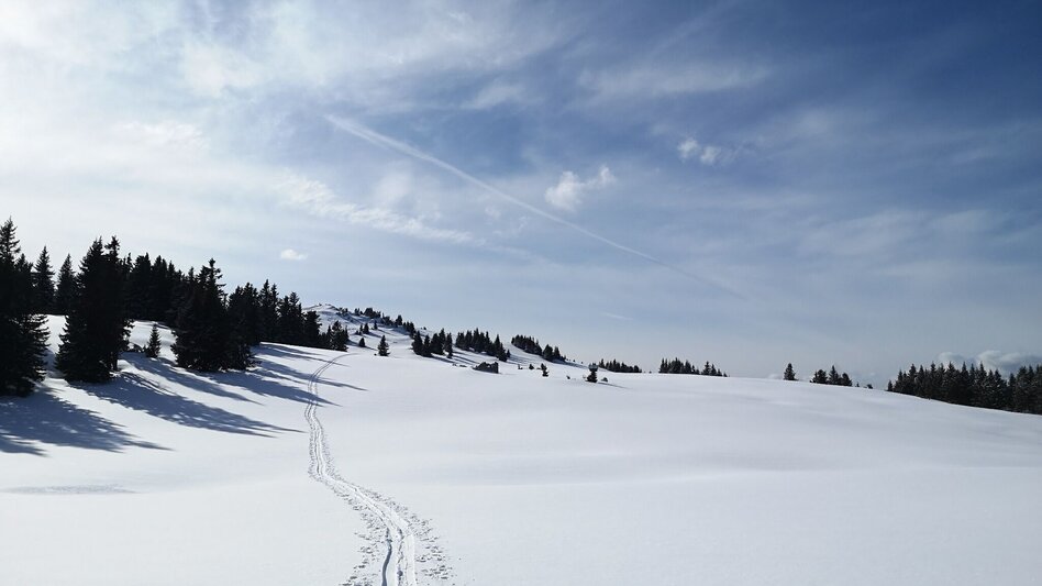Ski Touring Skitour auf die Wildalpe - Touren-Impression #2.3 | © TV Hochsteiermark