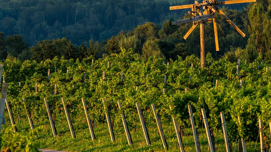 Motor Bike Die Südsteirische Weinstraße - Touren-Impression #2.1 | © Südsteiermark