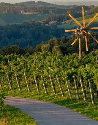 Weingarten | SYMBOL | © Südsteiermark