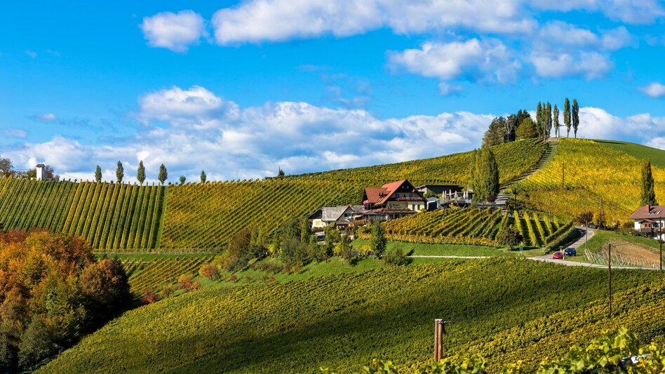 Motor Bike Die Südsteirische Weinstraße - Touren-Impression #2.3 | © Südsteiermark