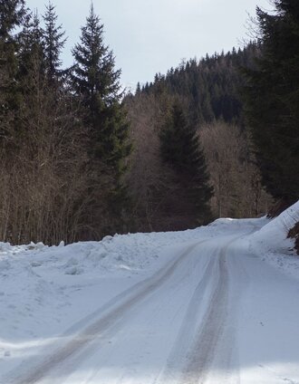 Der lange Weg beginnt ... | Roland Gutwenger | © Erlebnisregion Schladming-Dachstein