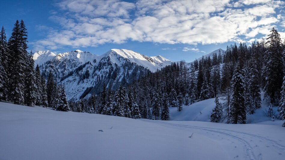 Ski Touring Hochweberspitze - Touren-Impression #2.3 | © Erlebnisregion Schladming-Dachstein