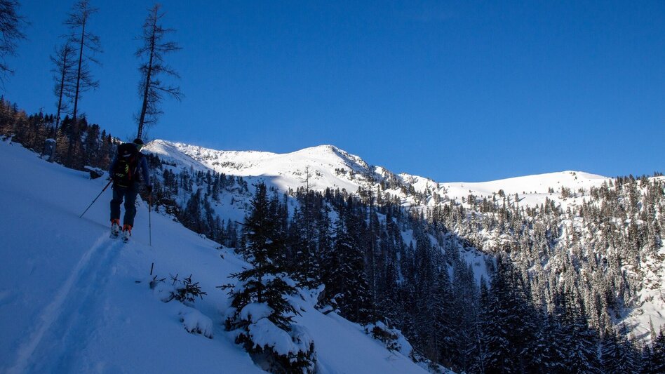 Ski Touring Hochweberspitze - Touren-Impression #2.4 | © Erlebnisregion Schladming-Dachstein