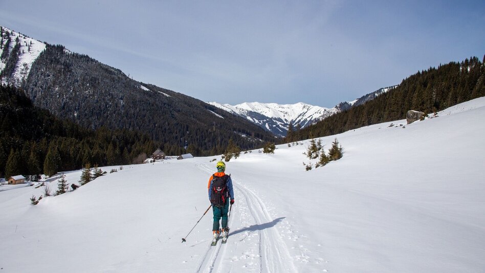Ski Touring Hochweberspitze - Touren-Impression #2.10 | © Erlebnisregion Schladming-Dachstein