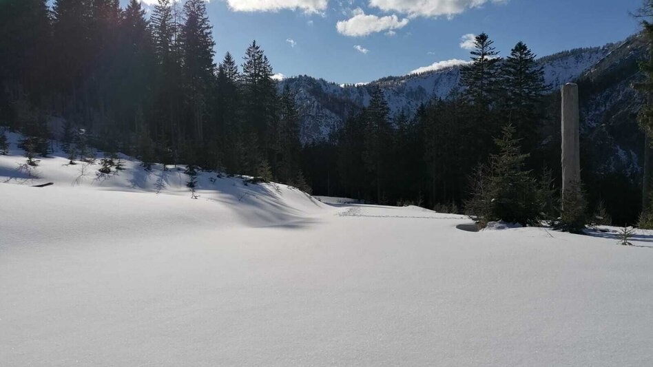 Schneeschuh Hinterwildalpen  Lurgrunde - Touren-Impression #2.2 | © TV Gesäuse