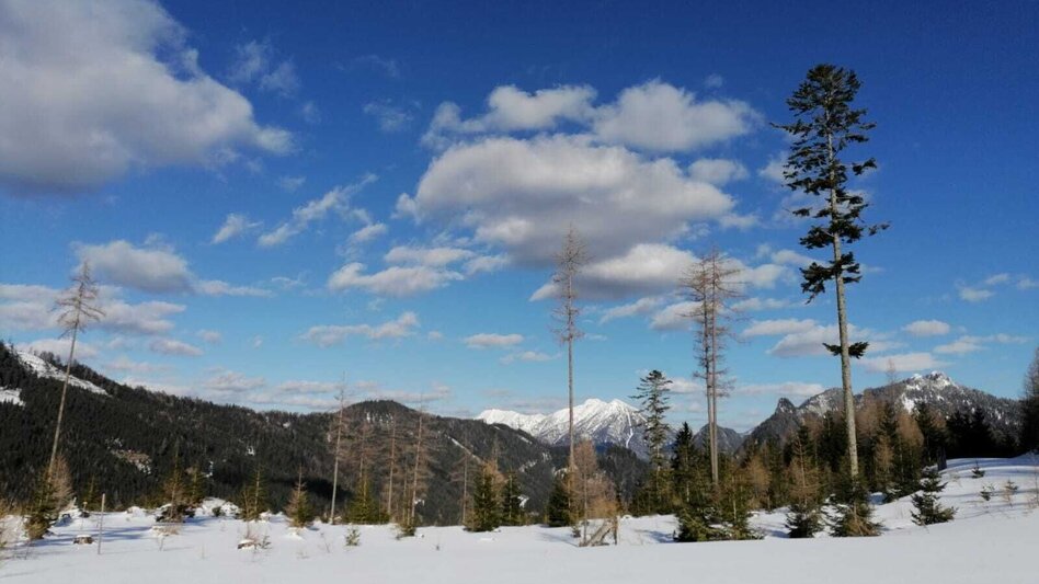 Schneeschuh Hinterwildalpen  Lurgrunde - Touren-Impression #2.4 | © TV Gesäuse