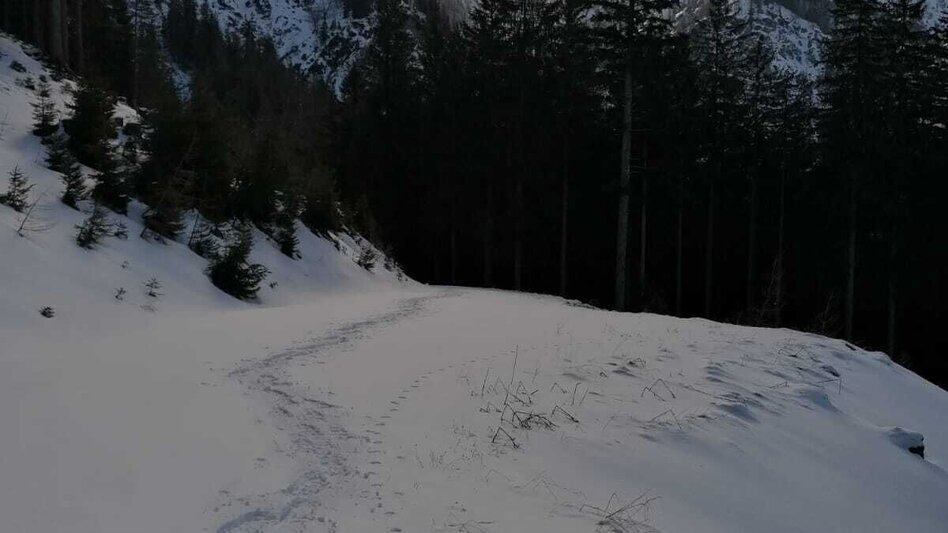 Schneeschuh Hinterwildalpen  Lurgrunde - Touren-Impression #2.5 | © TV Gesäuse