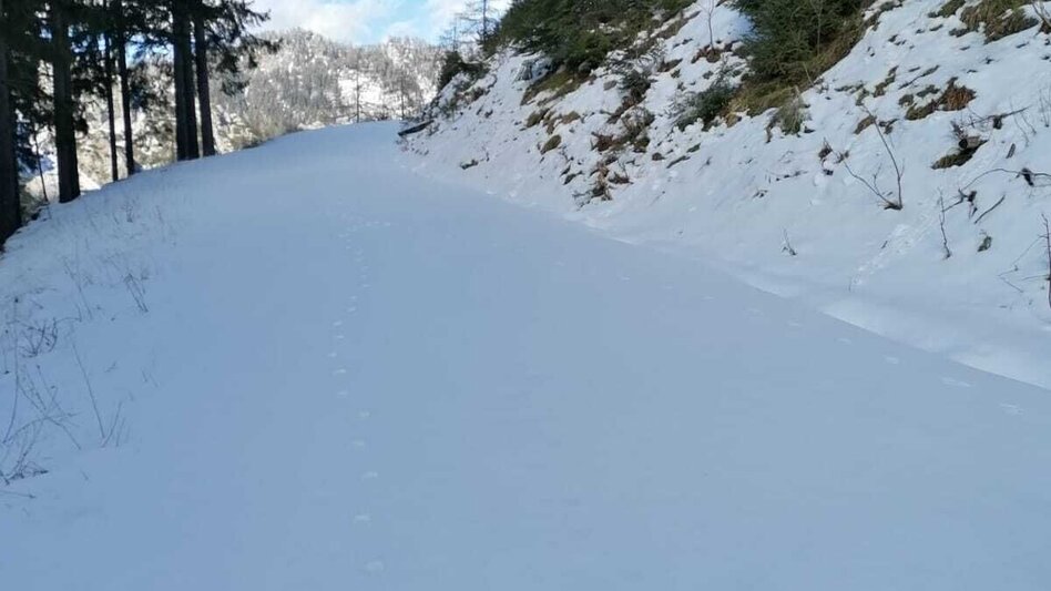 Schneeschuh Hinterwildalpen  Lurgrunde - Touren-Impression #2.7 | © TV Gesäuse