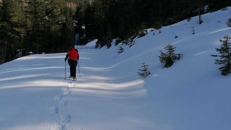 Schneeschuh Hinterwildalpen  Lurgrunde - Touren-Impression #2.8 | © TV Gesäuse