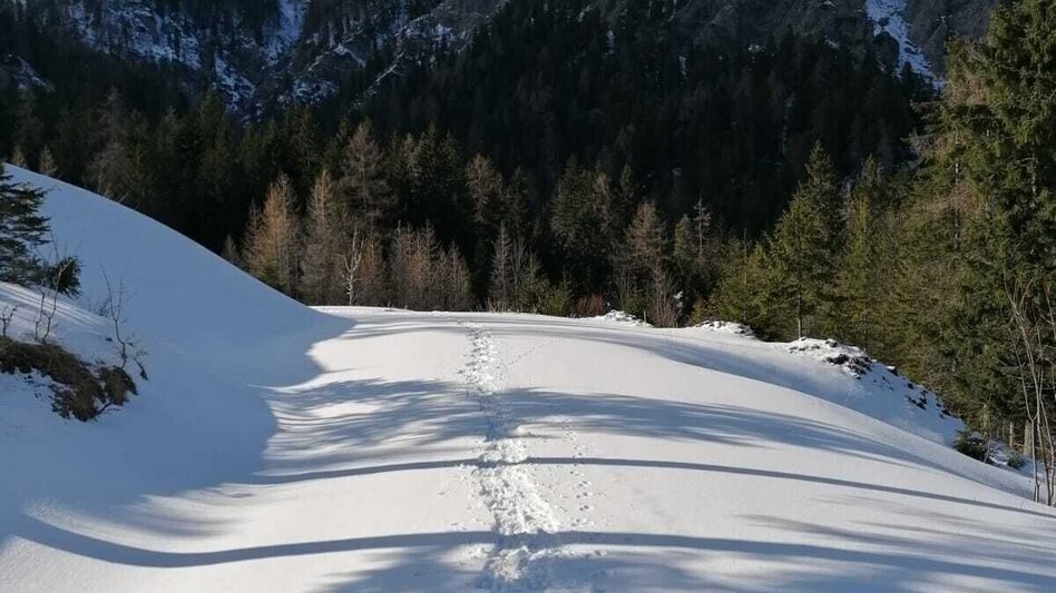 Schneeschuh Hinterwildalpen  Lurgrunde - Touren-Impression #2.9 | © TV Gesäuse