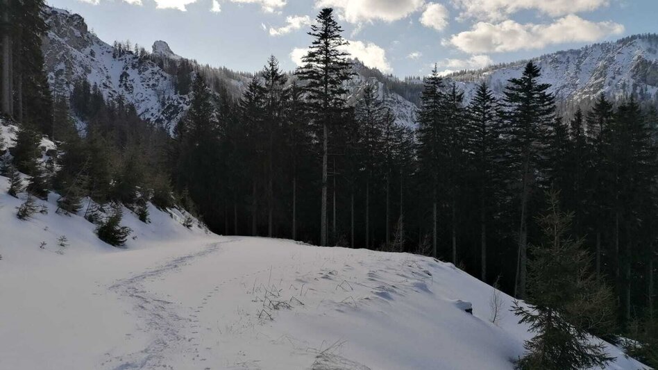 Schneeschuh Hinterwildalpen  Lurgrunde - Touren-Impression #2.10 | © TV Gesäuse