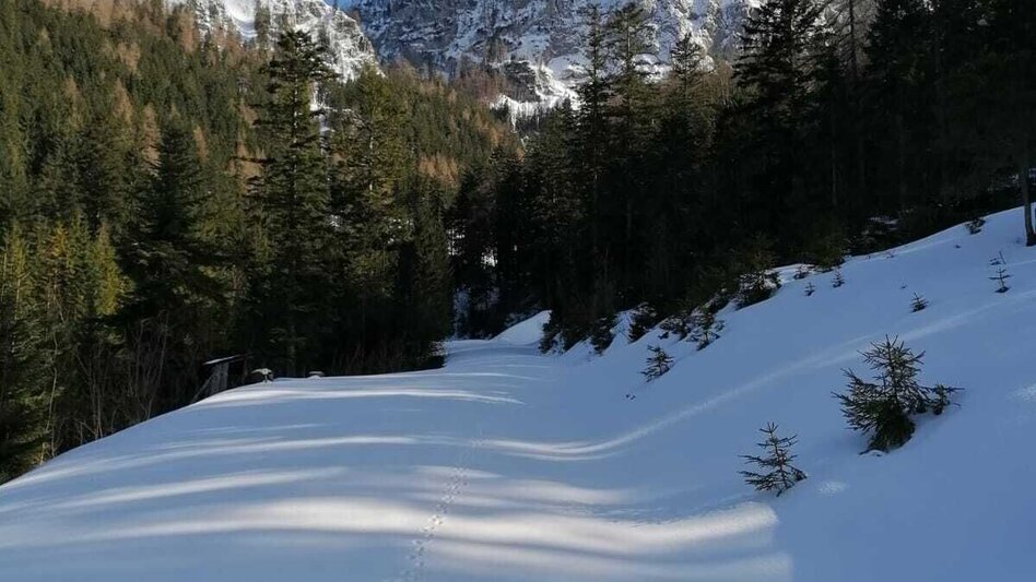 Schneeschuh Hinterwildalpen  Lurgrunde - Touren-Impression #2.11 | © TV Gesäuse