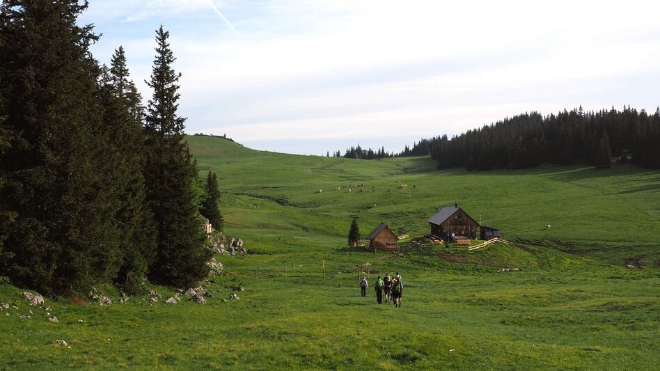 Hiking route Via Wetterin to the Tonion in the Mürzer Oberland Nature Park - Touren-Impression #2.1 | © TV Hochsteiermark