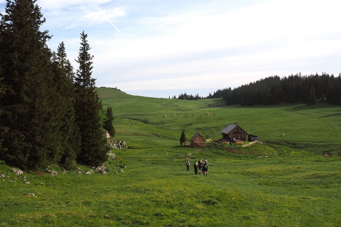 Hiking route Via Wetterin to the Tonion in the Mürzer Oberland Nature Park - Touren-Impression #1 | © TV Hochsteiermark