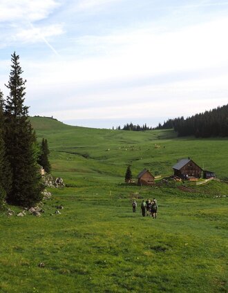 Am Herrenboden | Andreas Steininger | © TV Hochsteiermark