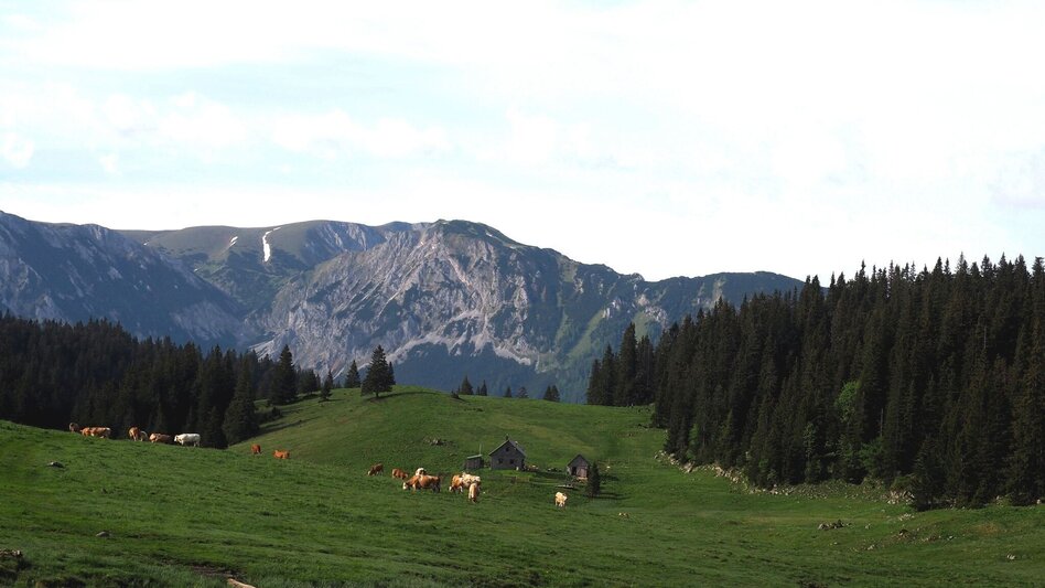 Hiking route Via Wetterin to the Tonion in the Mürzer Oberland Nature Park - Touren-Impression #2.2 | © TV Hochsteiermark