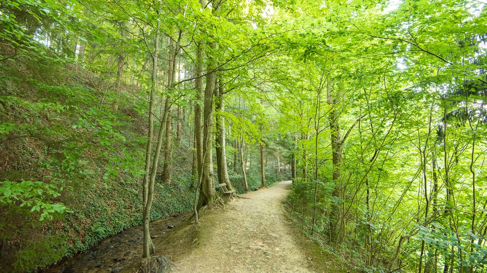 Wanderung Runde über Unterhochegg und Sauberg, Pöllau - Touren-Impression #2.4 | © Oststeiermark Tourismus