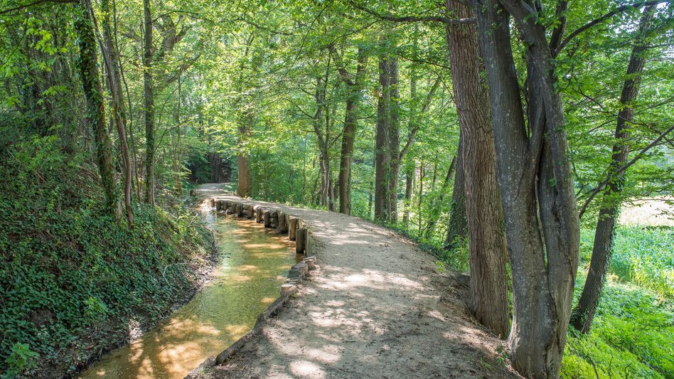Wanderung Runde über Unterhochegg und Sauberg, Pöllau - Touren-Impression #2.5 | © Helmut Schweighofer