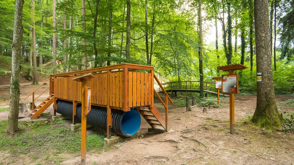 Wanderung Runde über Unterhochegg und Sauberg, Pöllau - Touren-Impression #2.6 | © Helmut Schweighofer