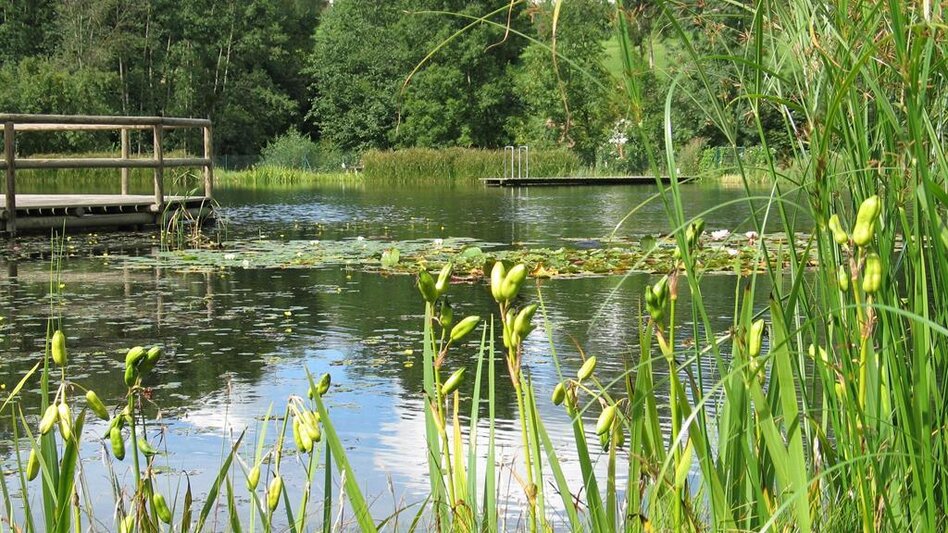 Wanderung Runde über Unterhochegg und Sauberg, Pöllau - Touren-Impression #2.7 | © Hermann Auerbäck