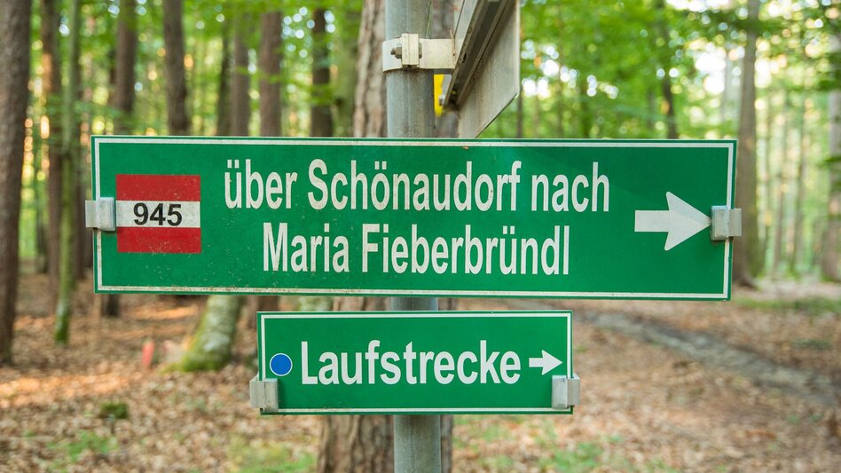 Hiking route Large Schönauklamm-circuit, Pöllau - Touren-Impression #2.1 | © Oststeiermark Tourismus