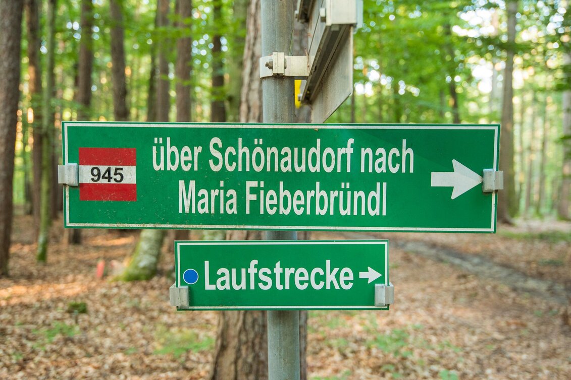 Hiking route Large Schönauklamm-circuit, Pöllau - Touren-Impression #1 | © Oststeiermark Tourismus