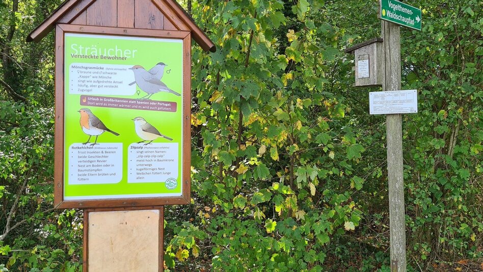Hiking route Large Schönauklamm-circuit, Pöllau - Touren-Impression #2.4 | © Tourismusverband Oststeiermark