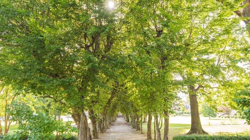 Hiking route Large Schönauklamm-circuit, Pöllau - Touren-Impression #2.7 | © Oststeiermark Tourismus