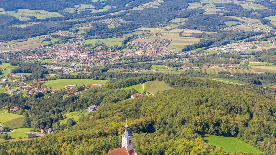 Hiking route Masenberg circuit via Schloffereck and Volksk. Museum, Pöllauberg - Touren-Impression #2.3 | © Oststeiermark Tourismus