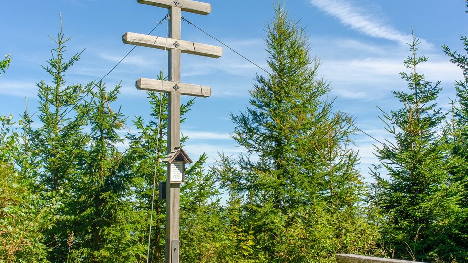 Hiking route Buchkogel round, Pöllau - Touren-Impression #2.2 | © Oststeiermark Tourismus