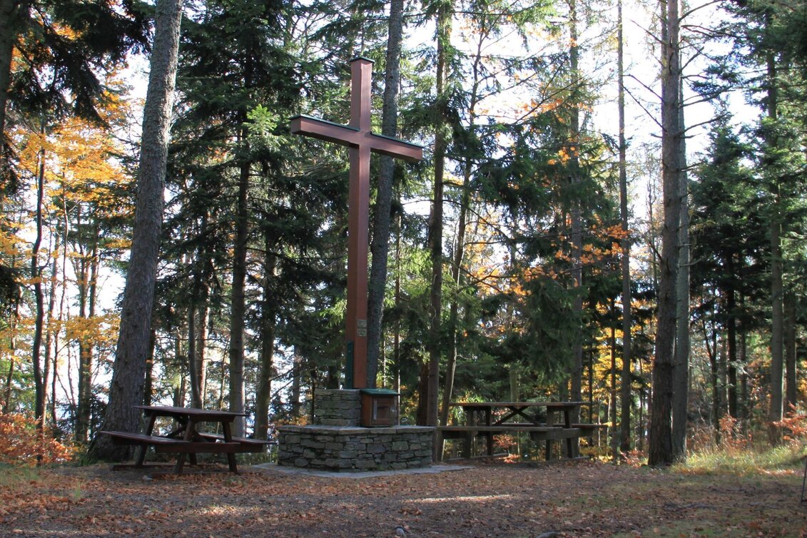 Hiking route Buchkogel round, Pöllau - Touren-Impression #1 | © Hermann Auerbäck