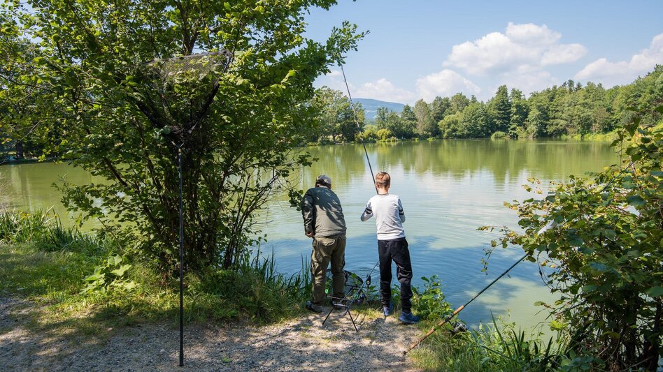 Hiking route Round Winzendorf ponds via Söllnerdorf, Pöllau - Touren-Impression #2.2 | © Helmut Schweighofer