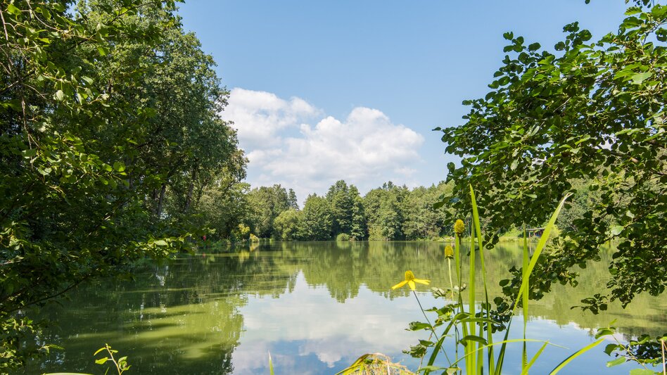 Hiking route Round Winzendorf ponds via Söllnerdorf, Pöllau - Touren-Impression #2.3 | © Oststeiermark Tourismus