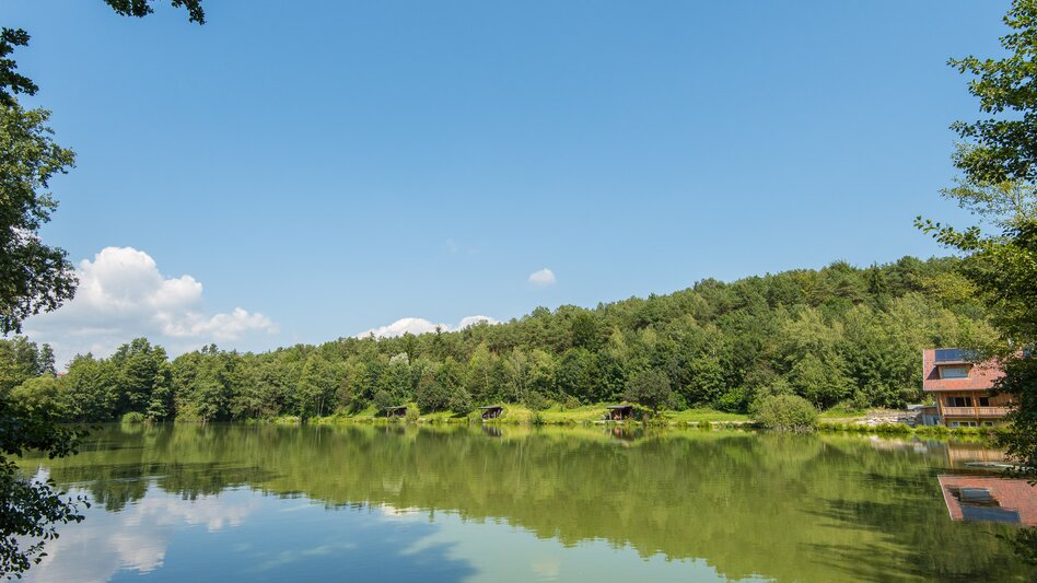 Hiking route Round Winzendorf ponds via Söllnerdorf, Pöllau - Touren-Impression #2.4 | © Oststeiermark Tourismus