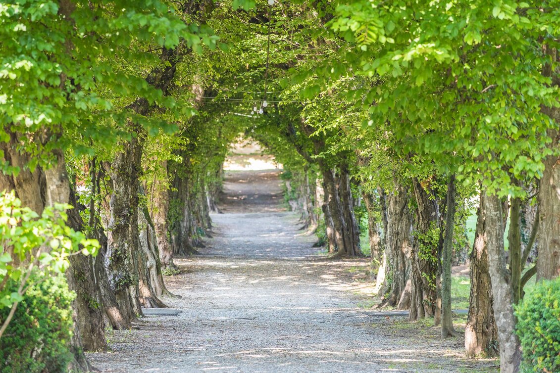 Hiking route Pöllau circuit via Gschaider Kögerl, Pöllau - Touren-Impression #1 | © Oststeiermark Tourismus