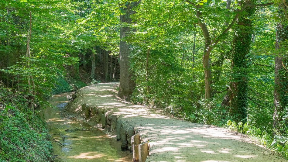 Hiking route Pöllau circuit via Hotel Muhr and Sternbauerkogel, Pöllau - Touren-Impression #2.10 | © Helmut Schweighofer