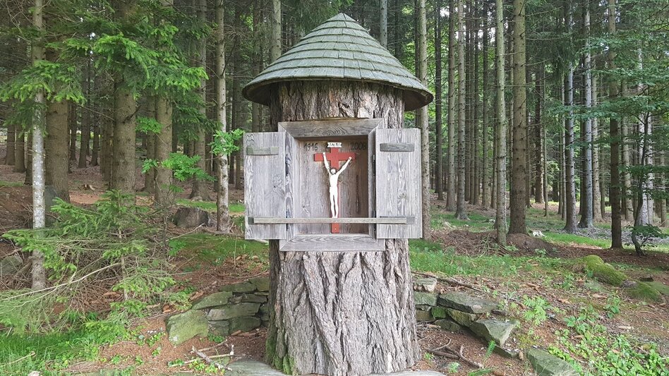 Wanderung Pöllau-Runde über Masenberg, Pöllau - Touren-Impression #2.5 | © Oststeiermark Tourismus