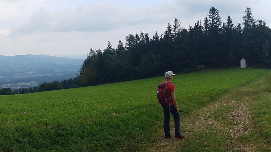 Hiking route Pöllau circuit via Jochbauer, Pöllau - Touren-Impression #2.3 | © Tourismusverband Oststeiermark