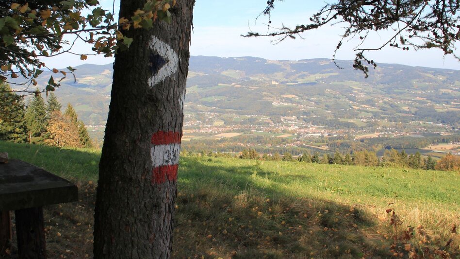 Hiking route Pöllau circuit via Jochbauer, Pöllau - Touren-Impression #2.2 | © Hermann Auerbäck