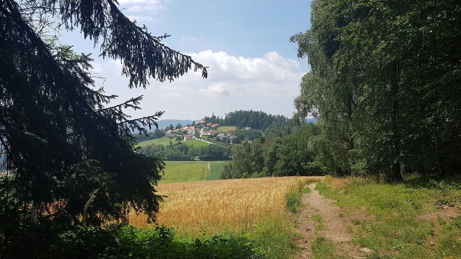 Wanderung Masenberg über Schwaig, Pöllauberg - Touren-Impression #2.3 | © Oststeiermark Tourismus
