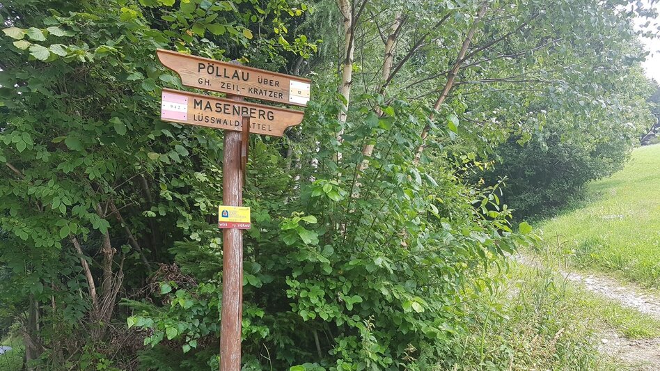 Wanderung Masenberg über Schwaig, Pöllauberg - Touren-Impression #2.11 | © Oststeiermark Tourismus