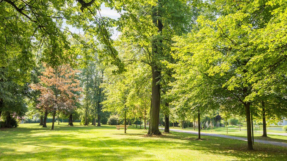 Wanderung Pöllauberg-Runde über Pöllau, Pöllauberg - Touren-Impression #2.7 | © Oststeiermark Tourismus