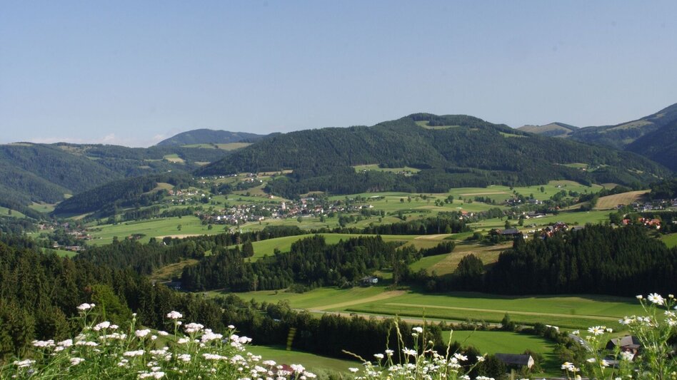 Wanderung Tulwitz-Runde, Fladnitz an der Teichalm - Touren-Impression #2.2 | © Oststeiermark Tourismus