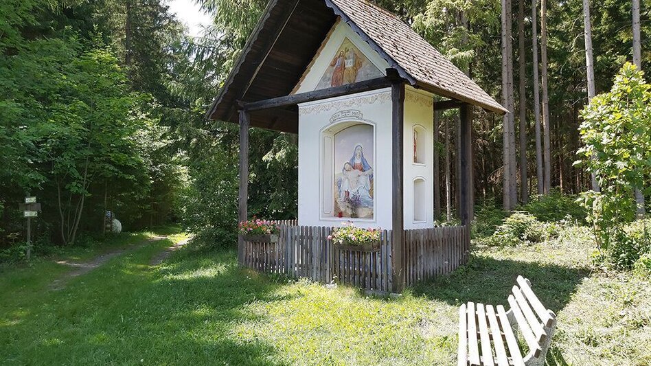 Wanderung Tulwitz-Runde, Fladnitz an der Teichalm - Touren-Impression #2.3 | © Oststeiermark Tourismus