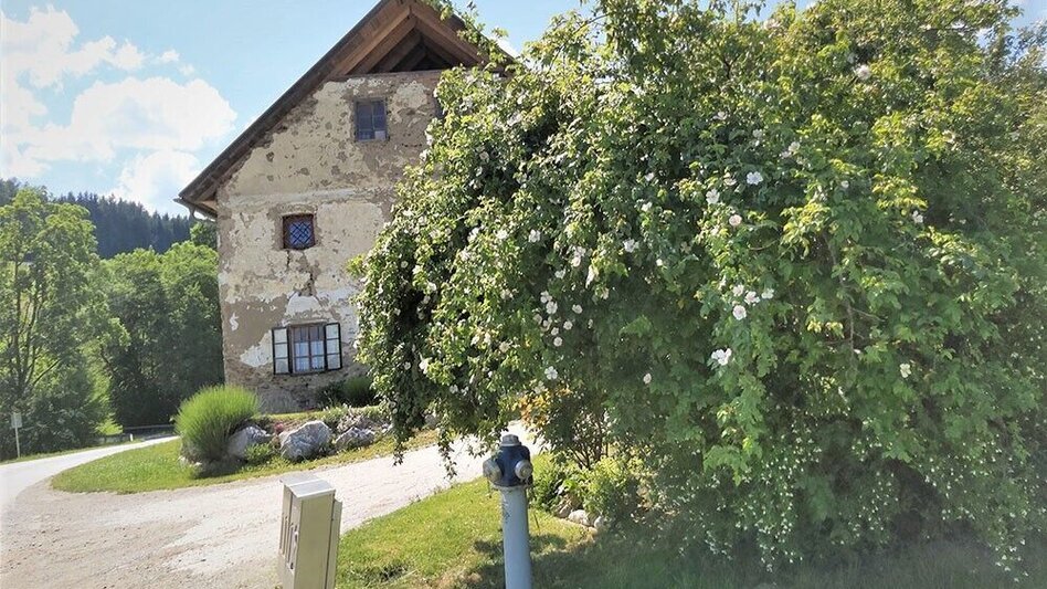 Wanderung Tulwitz-Runde, Fladnitz an der Teichalm - Touren-Impression #2.8 | © Oststeiermark Tourismus