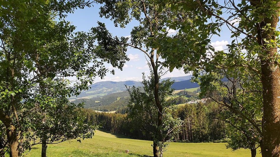 Wanderung Tulwitz-Runde, Fladnitz an der Teichalm - Touren-Impression #2.9 | © Oststeiermark Tourismus