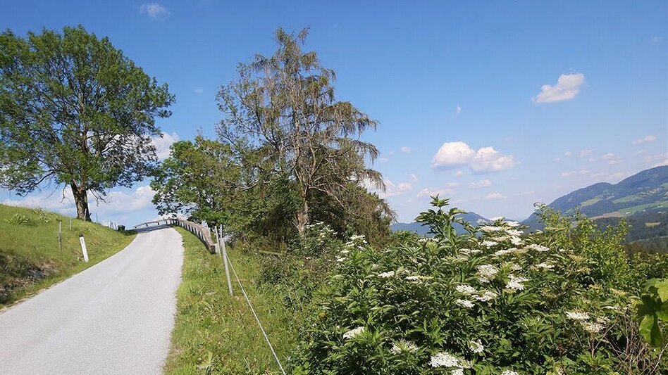 Wanderung Tulwitz-Runde, Fladnitz an der Teichalm - Touren-Impression #2.11 | © Oststeiermark Tourismus