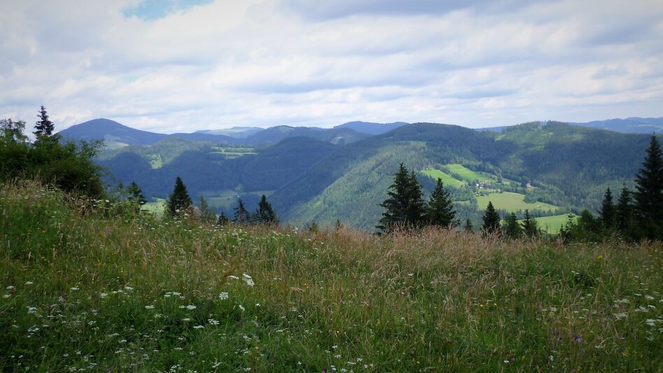 Hiking route To the Teichalm from the Nechnitz - Touren-Impression #2.3 | © Oststeiermark Tourismus