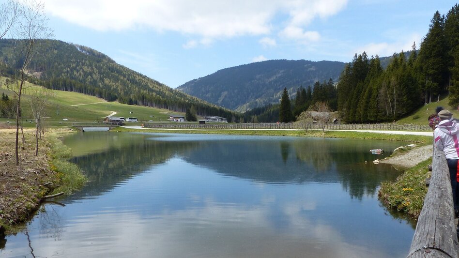 Hiking route To the Teichalm from the Nechnitz - Touren-Impression #2.5 | © Oststeiermark Tourismus